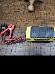 Battery Charger Charger For Your Cfmoto, Arctic Cat And Massimo